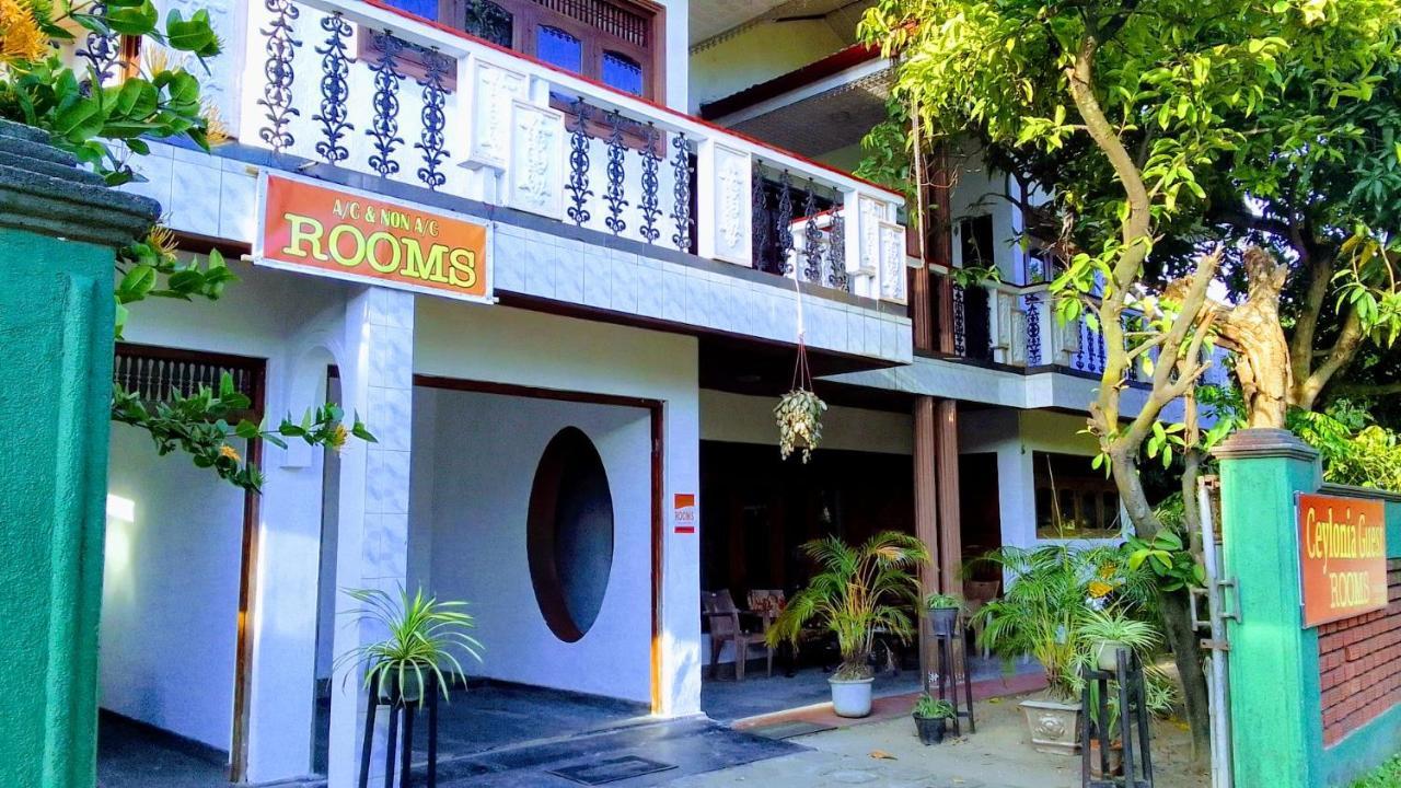 Ceylonia Guest Hotell Weligama Eksteriør bilde